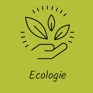 ecologie bien-etre equilibre climat - ecologie