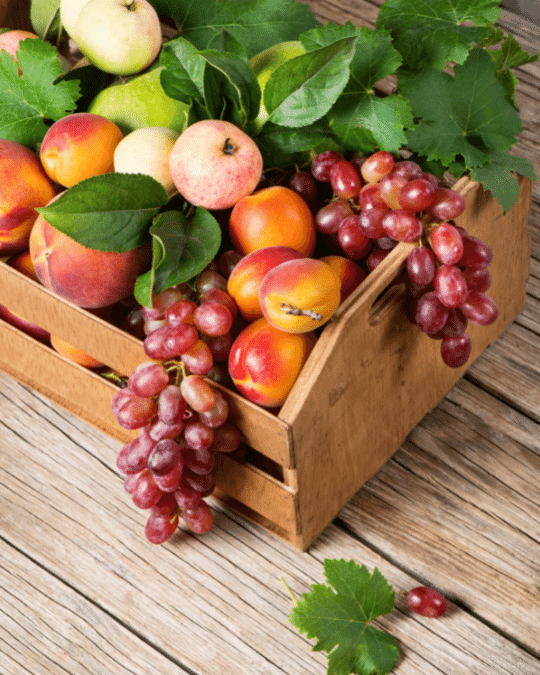 Comment trouver des fruits et des légumes sans pesticides et plein de vitamines ? 