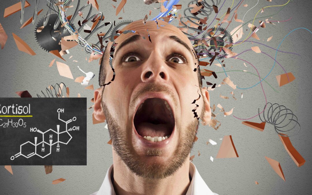 Stress et prise de poids : comprendre ce qui se joue et comment agir
